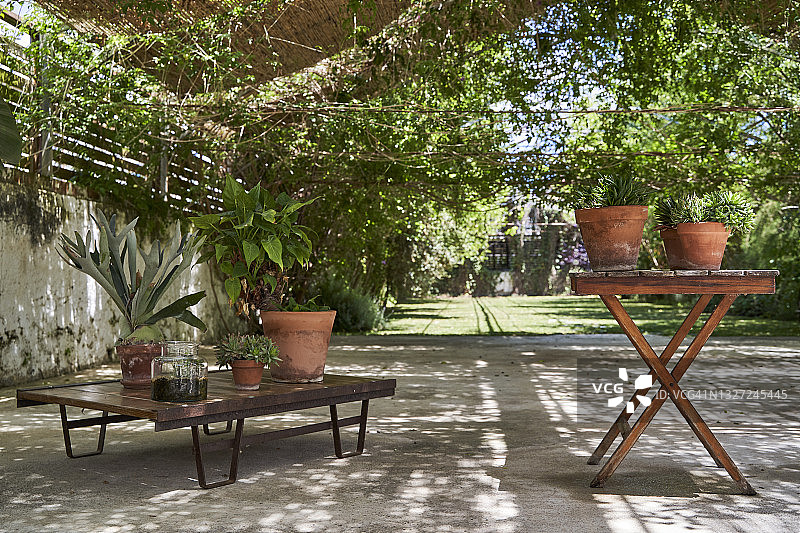 后院桌子上的盆栽图片素材