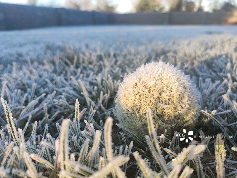 冰冻的网球图片素材