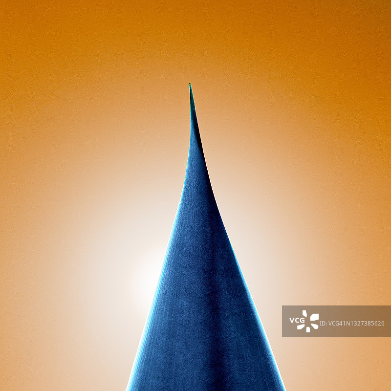 龙舌兰叶子的抽象景观图片素材