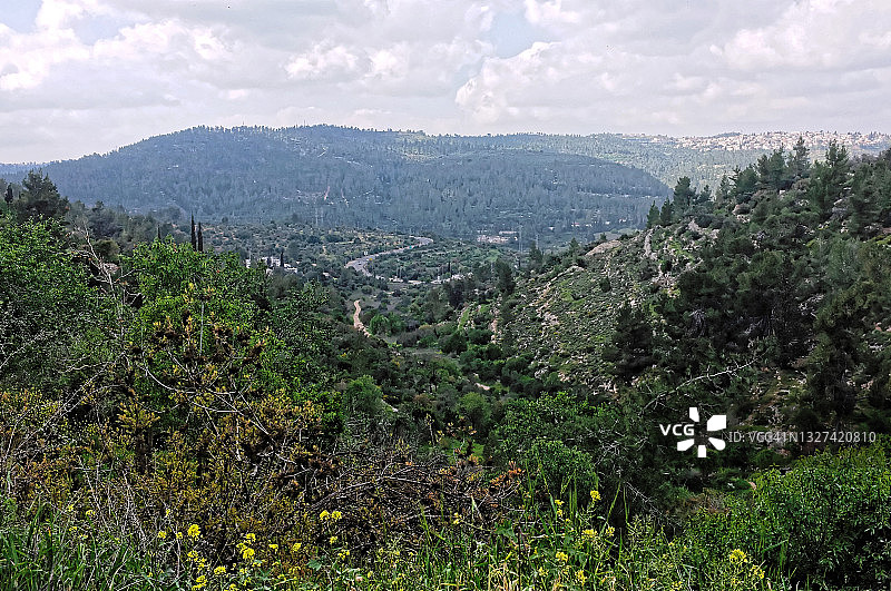 耶路撒冷山丘与蜿蜒道路风光图片素材