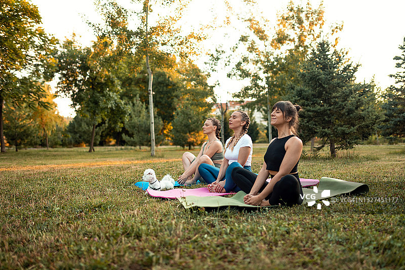 在公园享受夏日并练习瑜伽的年轻女性图片素材