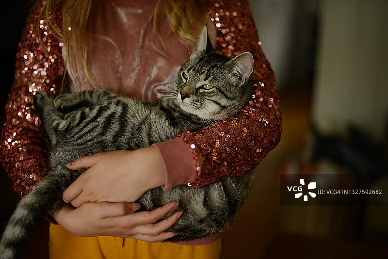 抱着猫的女孩图片素材