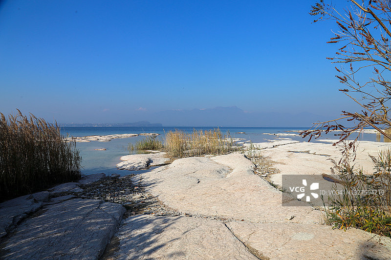加尔达湖低潮时耐受野芦苇的海岸风光图片素材
