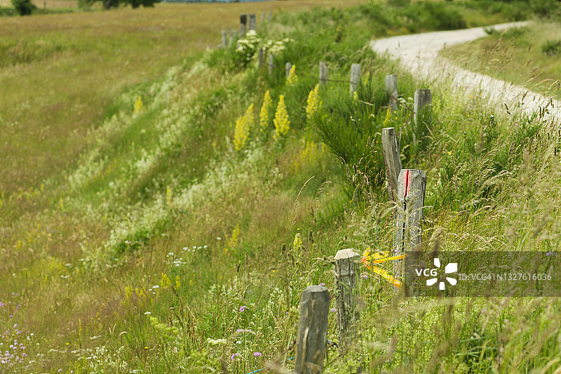 法国乡村景观图片素材