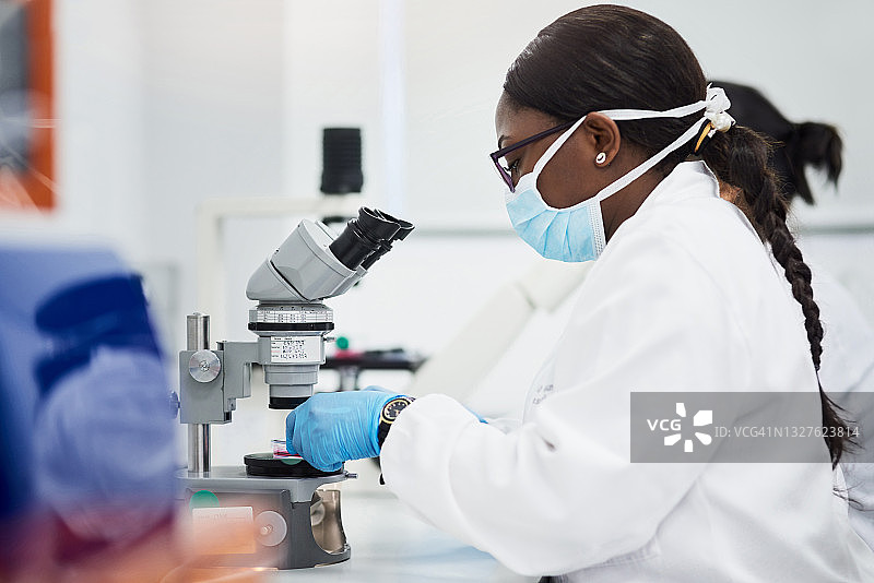 年轻科学家在实验室进行医学研究时使用显微镜的照片图片素材