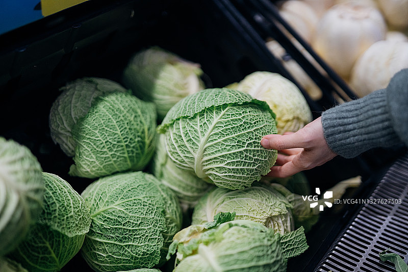 女人手拿新鲜卷心菜图片素材