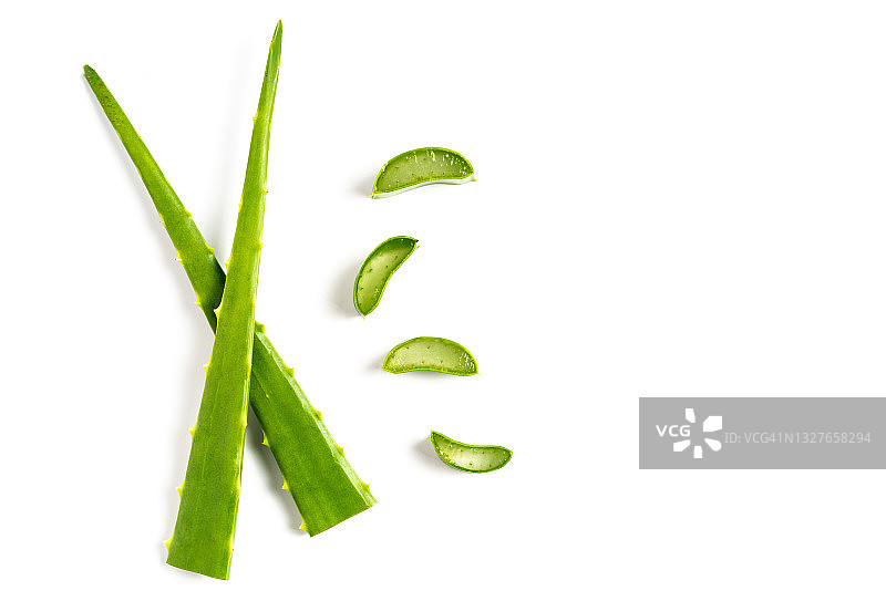 库拉索芦荟切片俯视图图片素材
