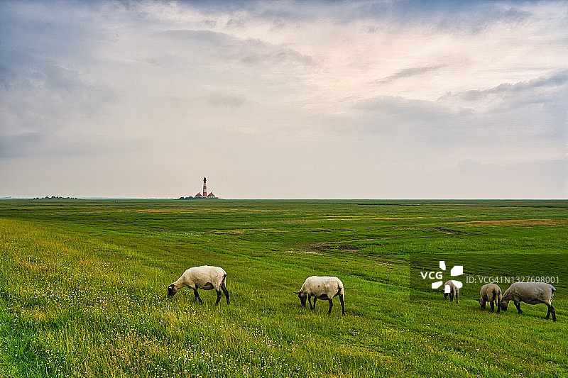 韦斯特海弗桑德灯塔，德国图片素材