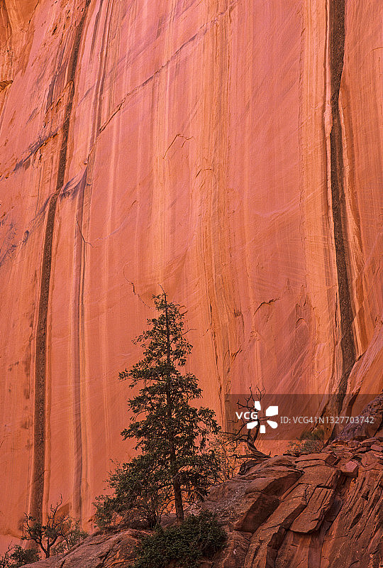 犹他州大阶梯-埃斯卡兰特国家纪念地图片素材