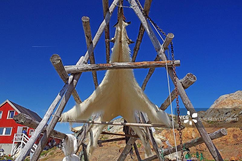 悬挂在木框上的北极熊皮毛图片素材