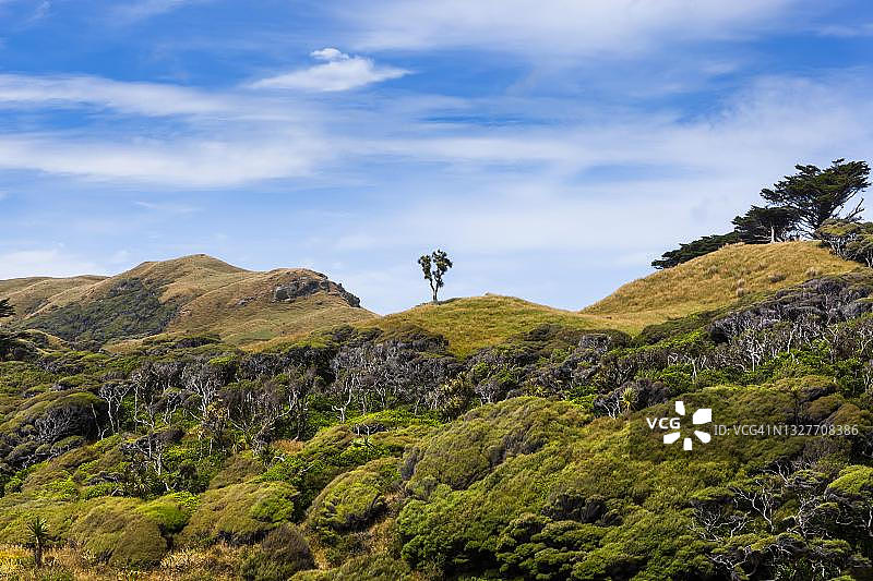 新西兰南岛告别角黄金湾风光图片素材