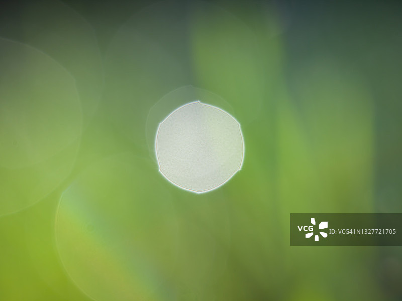 散景效果图片素材