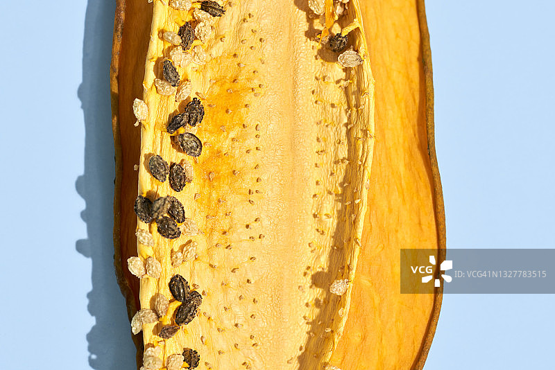 蓝色背景上的木瓜片图片素材