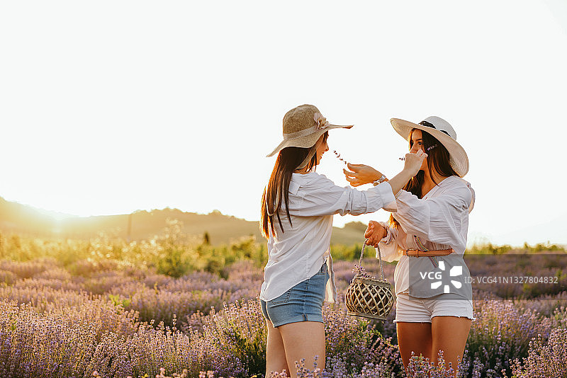 在薰衣草田里玩耍的好朋友图片素材