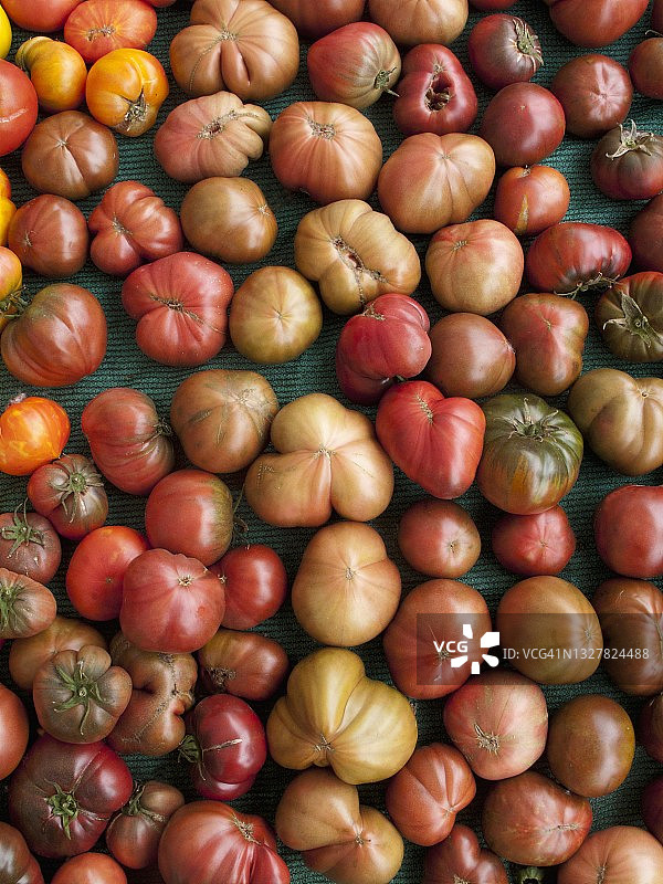 各种传家宝番茄（从上方看）图片素材