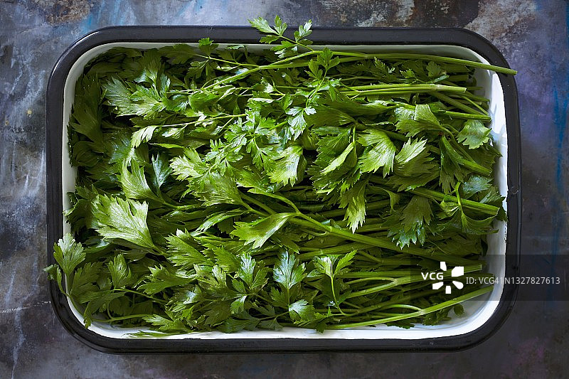 搪瓷碗里的新鲜欧芹图片素材