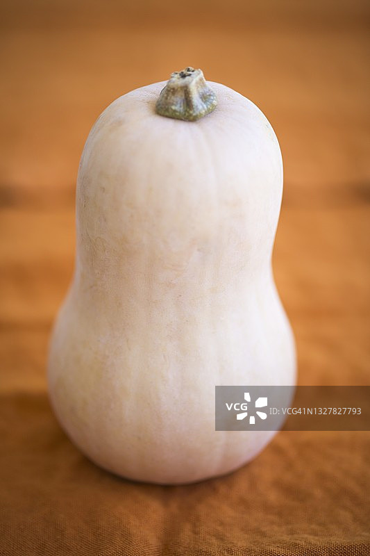 冬南瓜图片素材