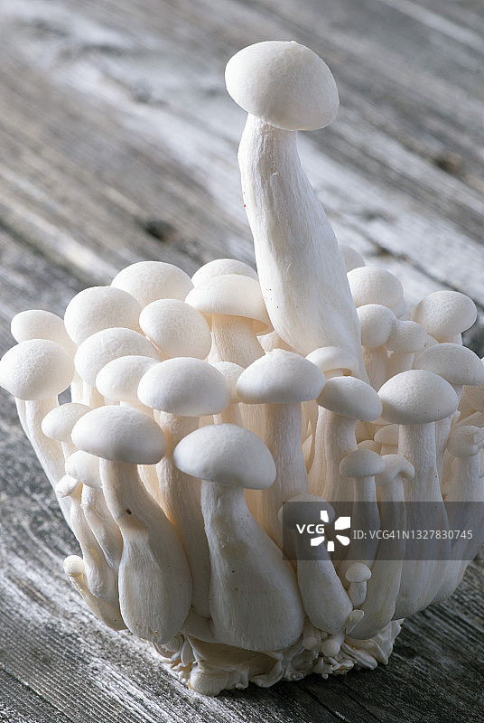 木质背景上的姬菇图片素材