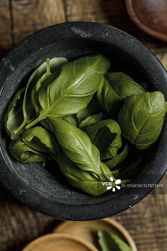 新鲜罗勒叶图片素材