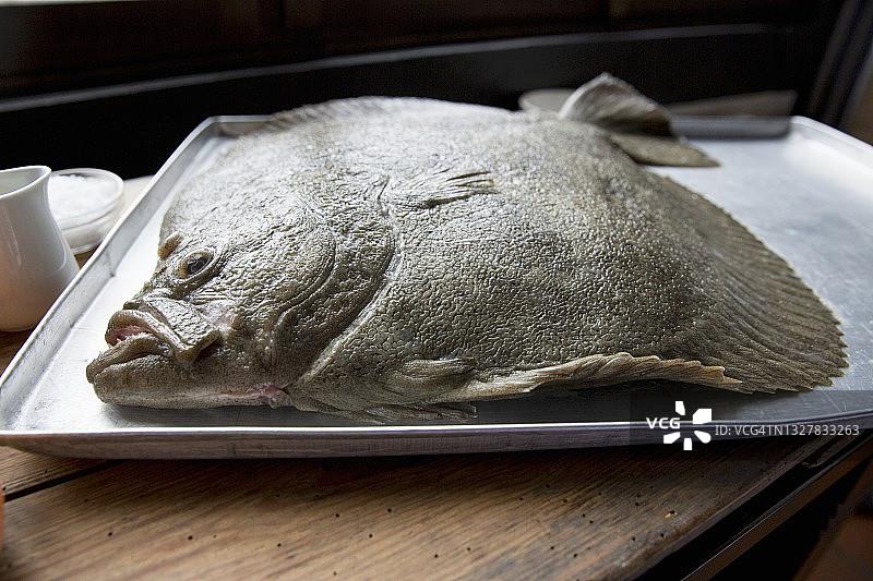 新鲜大菱鲆图片素材