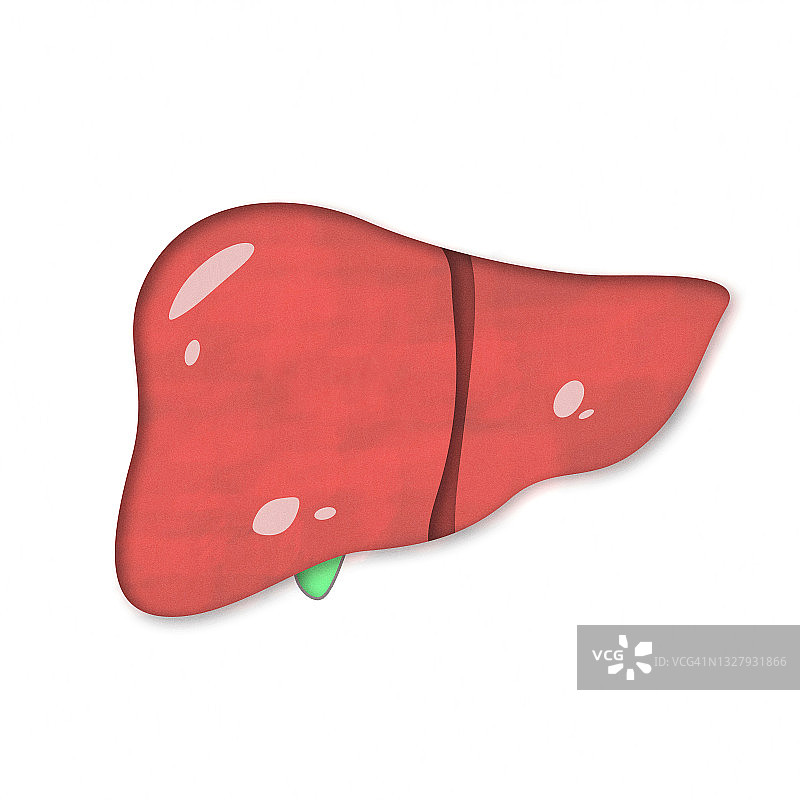 人体肝脏图标图片素材