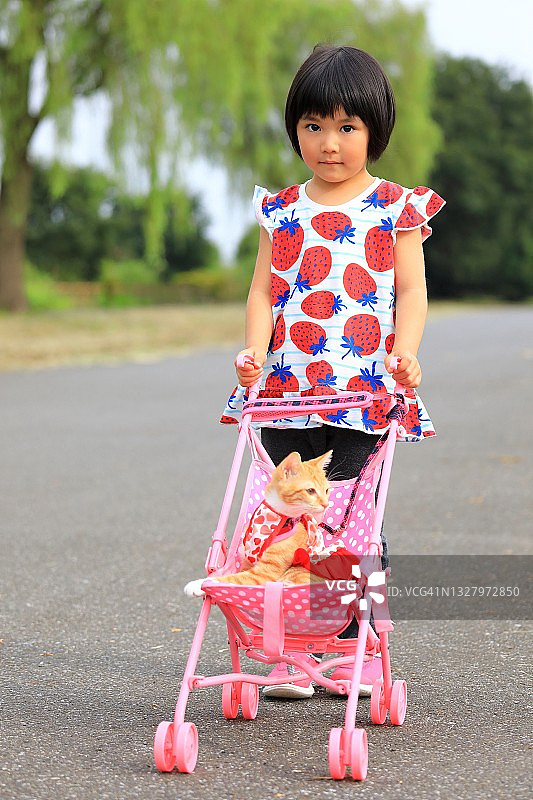 可爱的幼猫和主人在户外散步图片素材