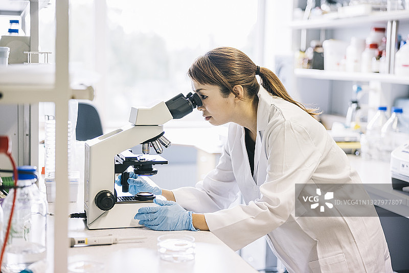 在现代实验室工作的科学家图片素材