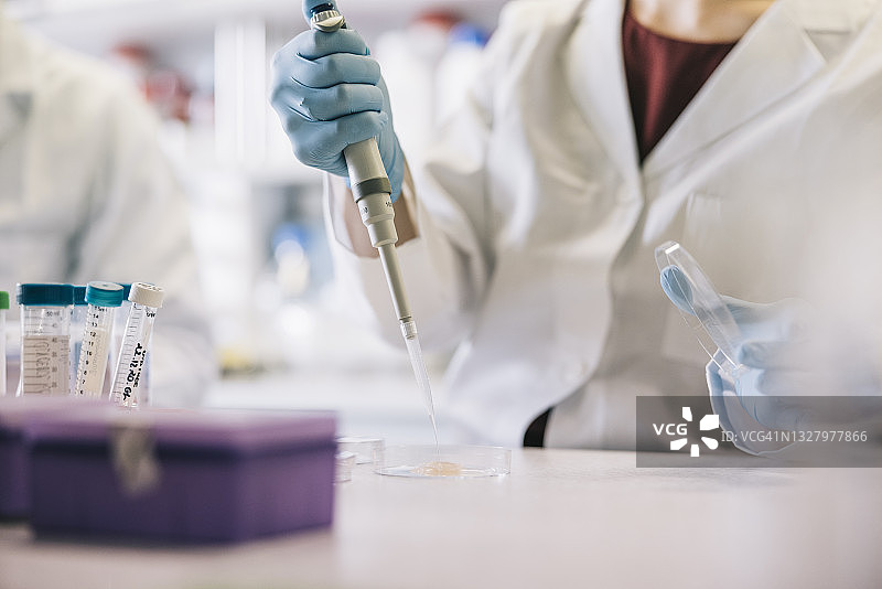 科学家用移液管取样图片素材
