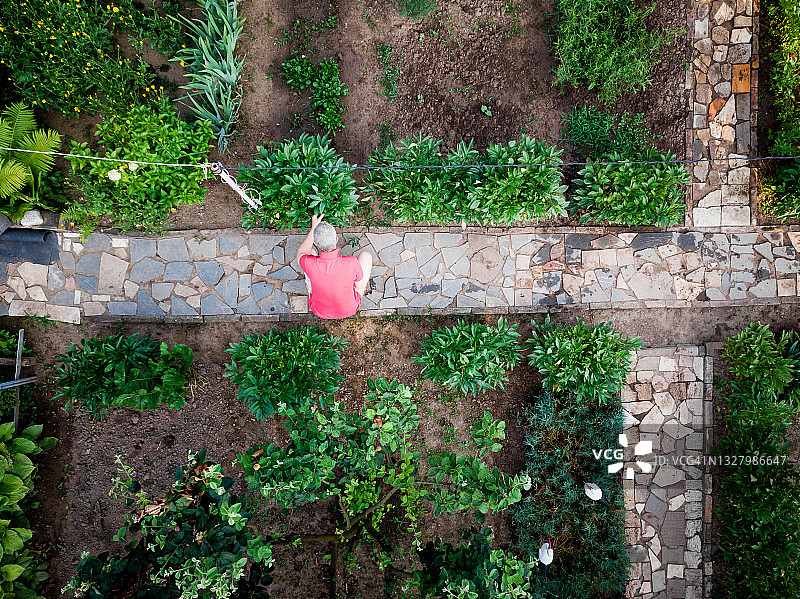 男子在菜园工作航拍鸟瞰图片素材