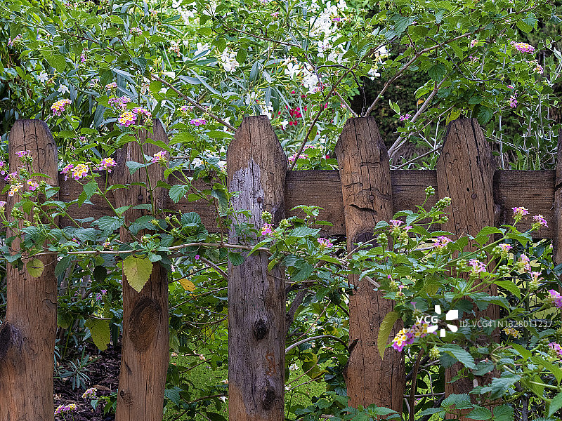 花园里质朴的围栏图片素材