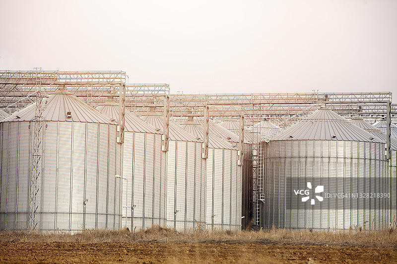 饲料厂的农业筒仓。用于储存饲料生产中谷物的大型储罐。图片素材