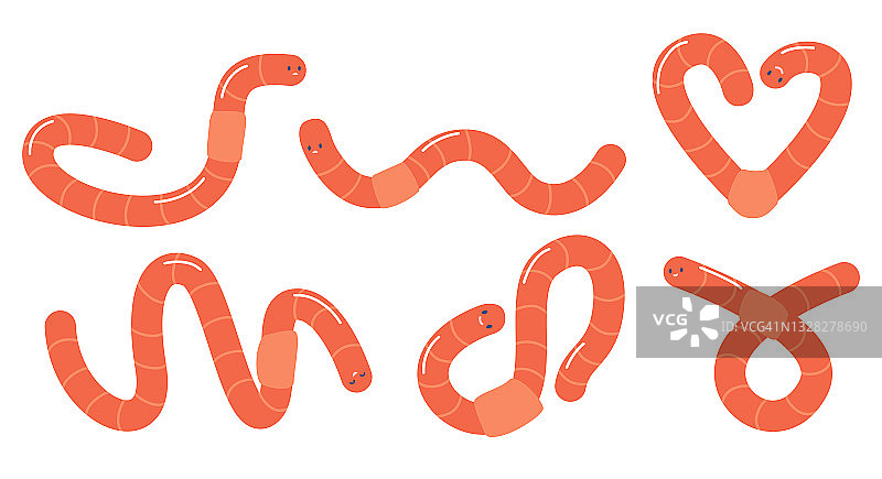 蚯蚓、土壤蚯蚓、堆肥昆虫矢量图图片素材