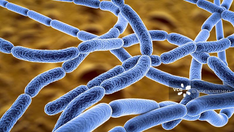 炭疽杆菌图示图片素材