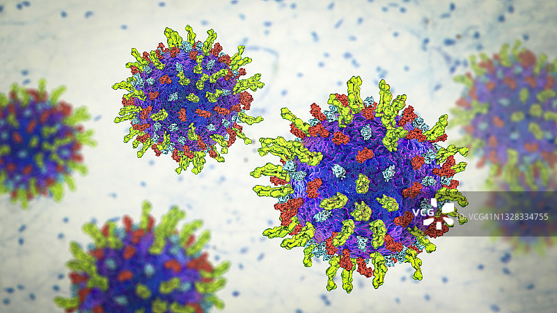 单纯疱疹病毒，图示图片素材