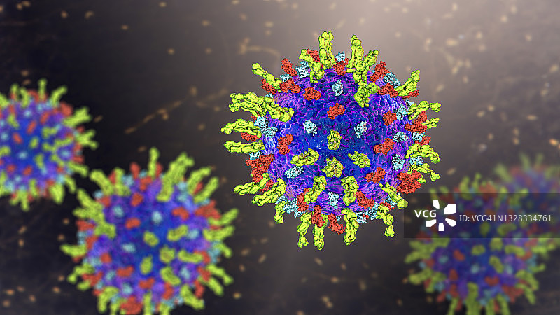 单纯疱疹病毒，图示图片素材