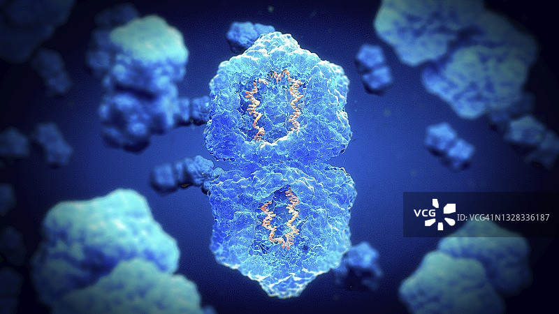 双生病毒结构图图片素材