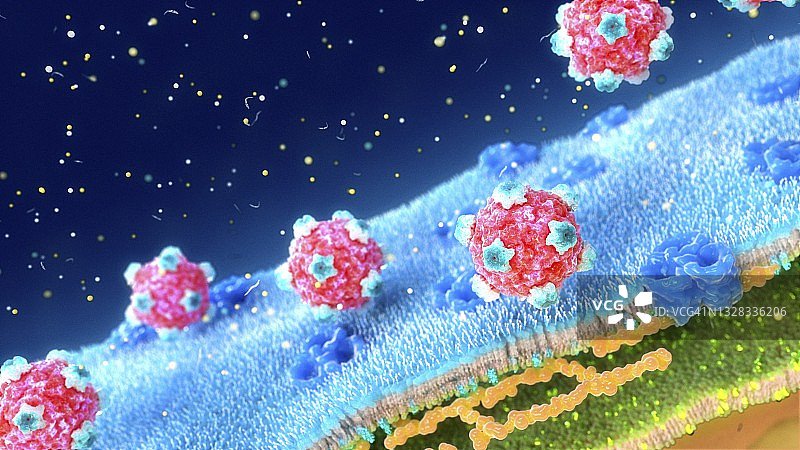 细菌细胞壁上的微小病毒，图示图片素材