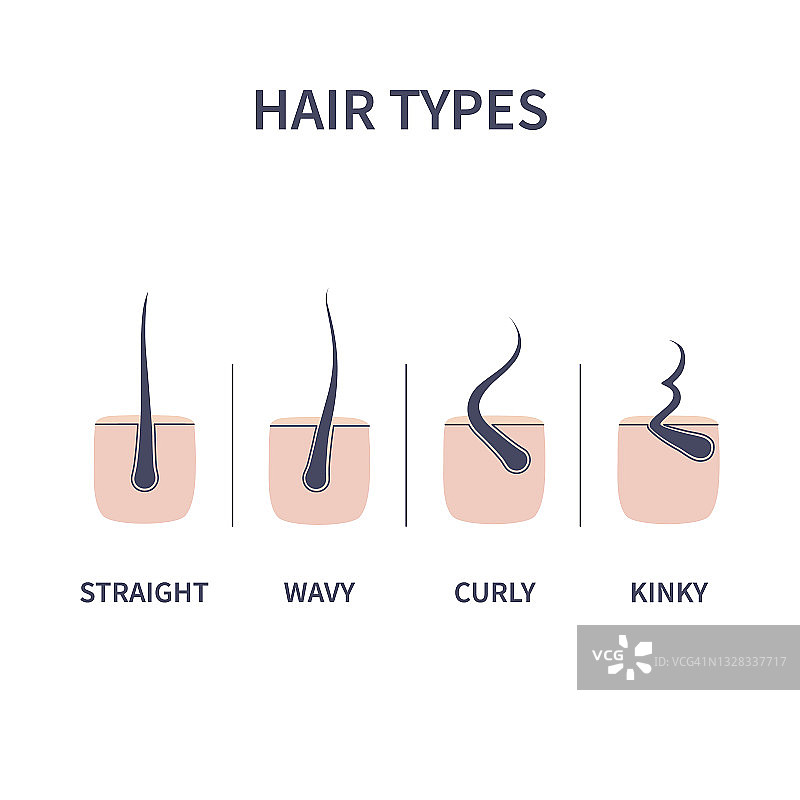 发型类型插图图片素材