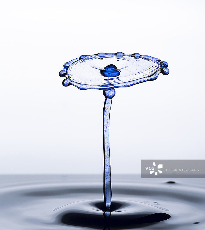 蓝色水滴（水蘑菇）在白色背景上的碰撞图片素材