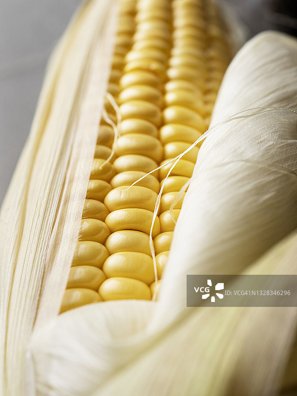 玉米、带绿叶的鲜玉米蔬菜静物图片素材