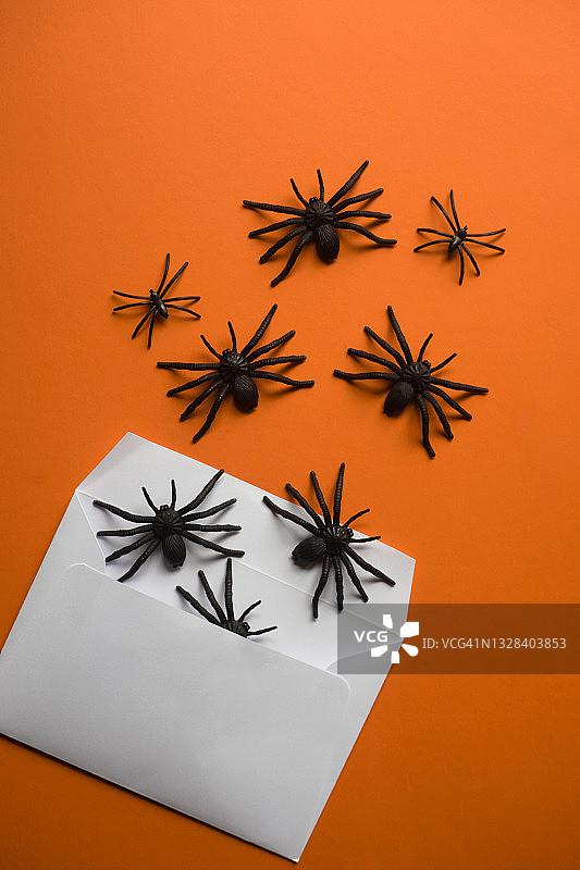 万圣节主题卡片：橙色背景上的黑色蜘蛛图片素材