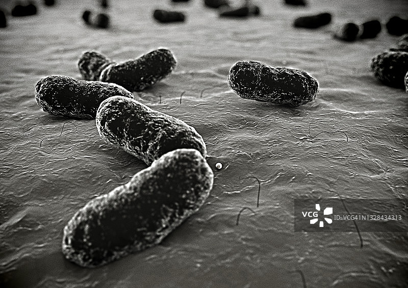 皮肤上的细菌微距视图图片素材