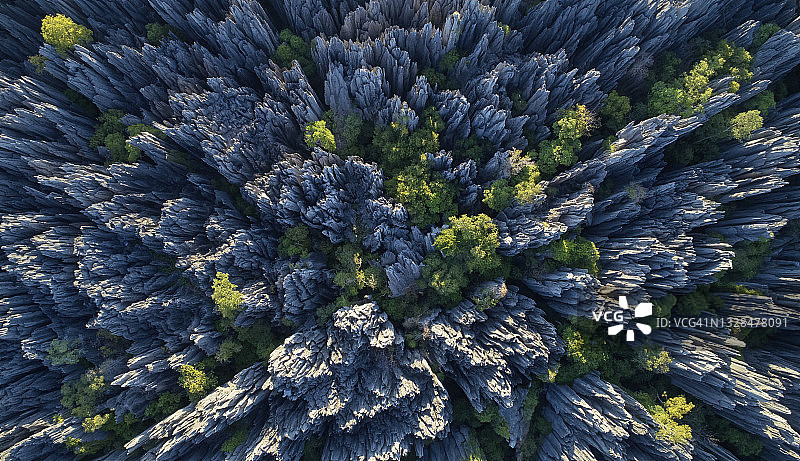 马达加斯加青贝马拉哈国家公园图片素材