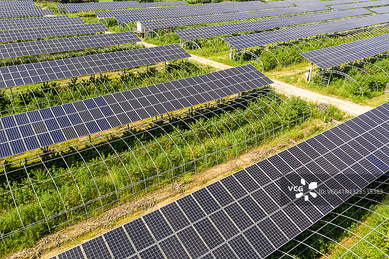 农业种植园屋顶的太阳能电池板航拍图片素材