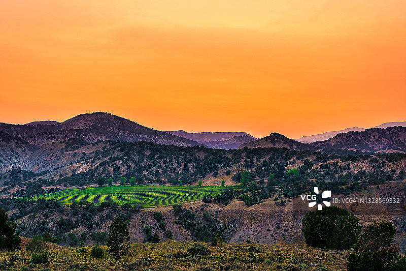 科罗拉多州平顶山夏季牧场景观图片素材