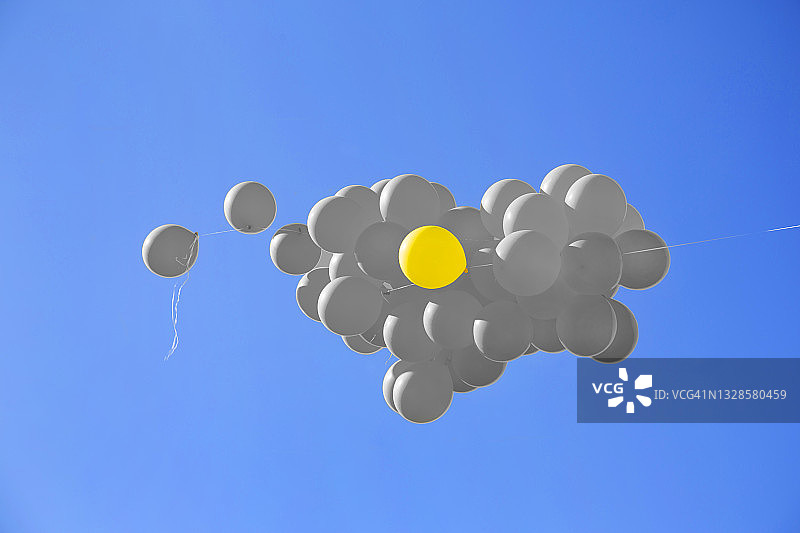 气球飞舞的数码照片图片素材