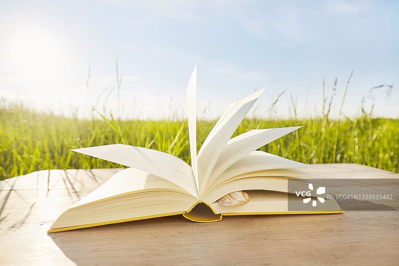 风中书页与贝壳书签静物写生图片素材