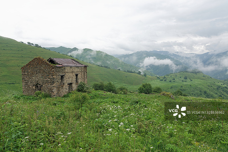 格鲁吉亚北部高加索山脉的阿布德劳里山谷高山草甸图片素材