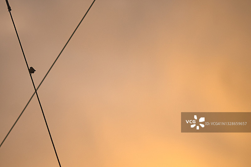 鸟儿停留在彩虹背景下的高压电线上图片素材