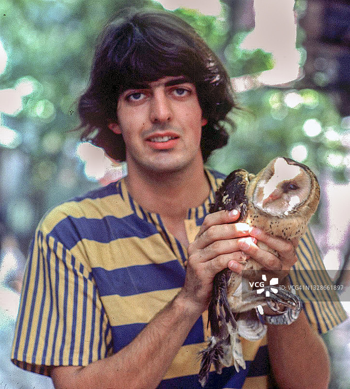 从活禽市场救出的猫头鹰图片素材